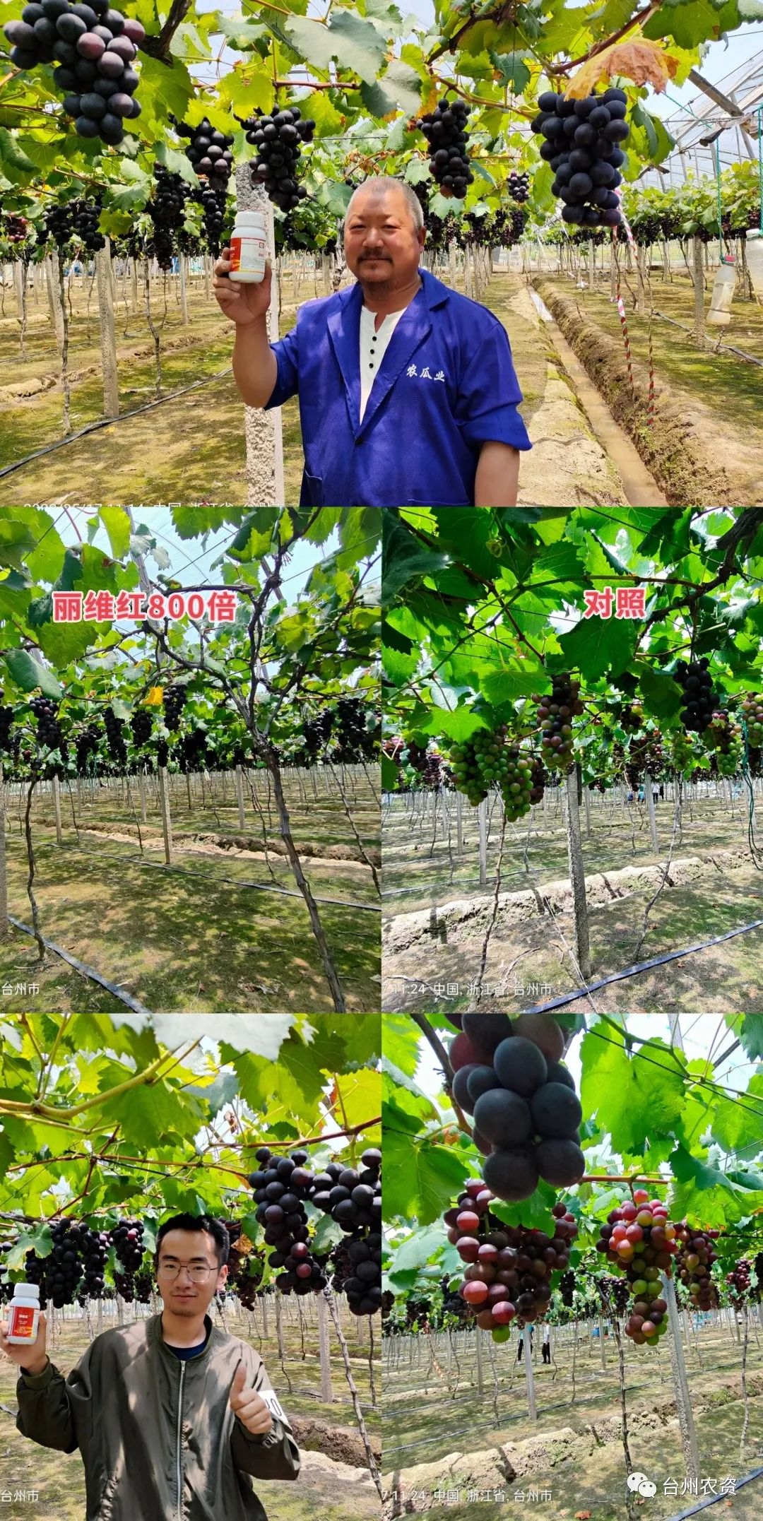 臺州農(nóng)資 臺州農(nóng)資